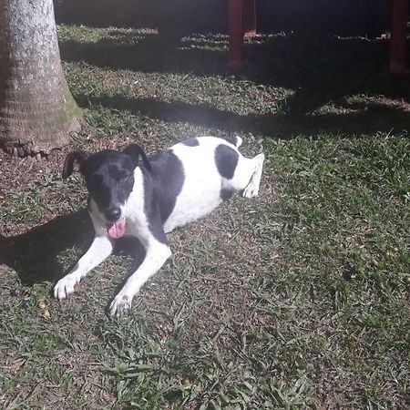 Sitio E Pousada Recanto Dos Ipes Teresópolis Екстериор снимка